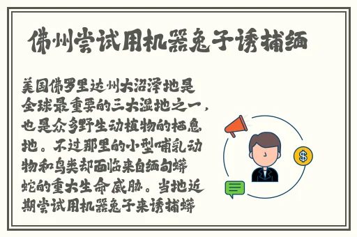 番茄视频观看免费版